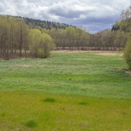 Osrodek Wypoczynkowy Przystanek Feriepark Drzewina